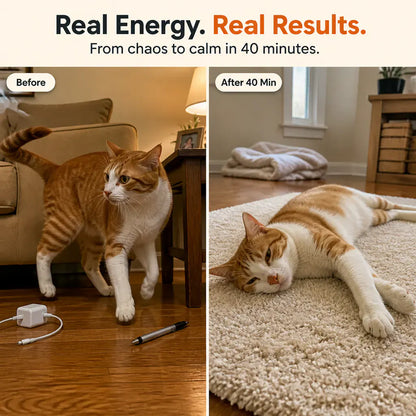 KittyRun – Motorized Cat Chase Track | Hands-Free Interactive Cat Toy