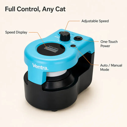 KittyRun – Motorized Cat Chase Track | Hands-Free Interactive Cat Toy