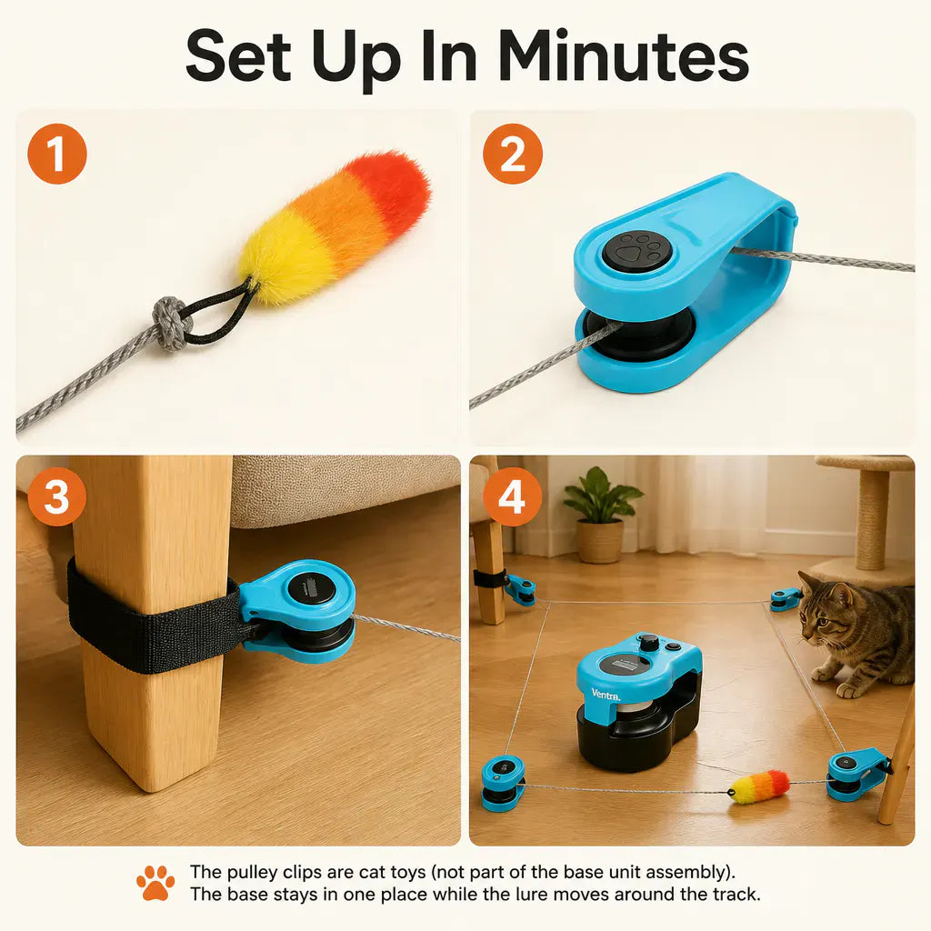 KittyRun – Motorized Cat Chase Track | Hands-Free Interactive Cat Toy