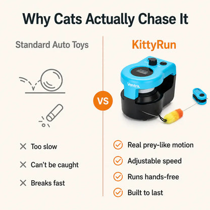 KittyRun – Motorized Cat Chase Track | Hands-Free Interactive Cat Toy