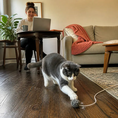 KittyRun – Motorized Cat Chase Track | Hands-Free Interactive Cat Toy